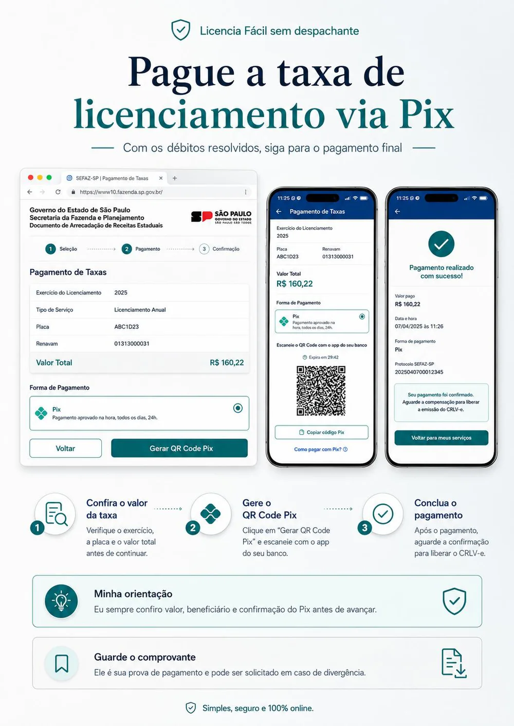 Página do guia mostrando o pagamento da taxa de licenciamento via Pix